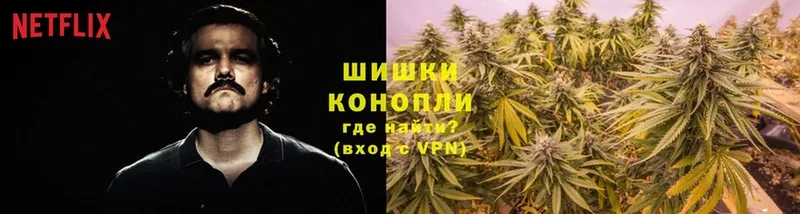 Бошки Шишки THC 21%  Куровское 